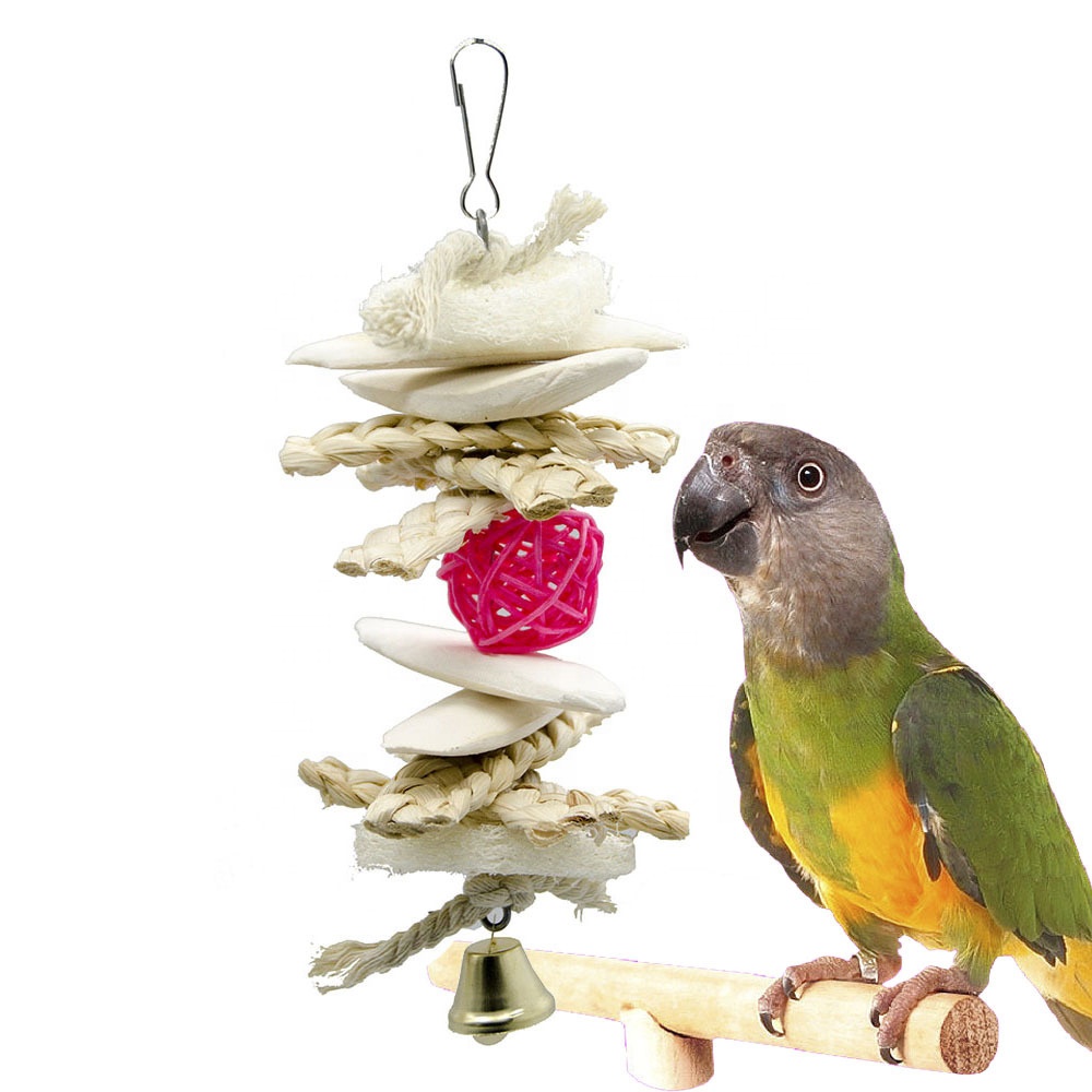 parrots for sale african grey parrots buy amazon parrot hyacinth macaw for sale buy parrots order a parrot online parrots near me parrots for sale near me birds for sale pet birds for sale